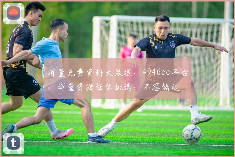 海量免费资料大放送，4946cc平台，海量资源任你挑选，不容错过