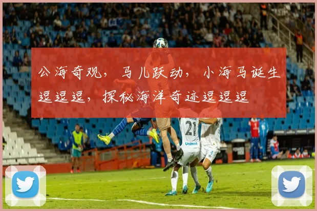公海奇观，马儿跃动，小海马诞生逗逗逗，探秘海洋奇迹逗逗逗