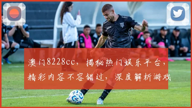 澳门8228cc，揭秘热门娱乐平台，精彩内容不容错过，深度解析游戏攻略